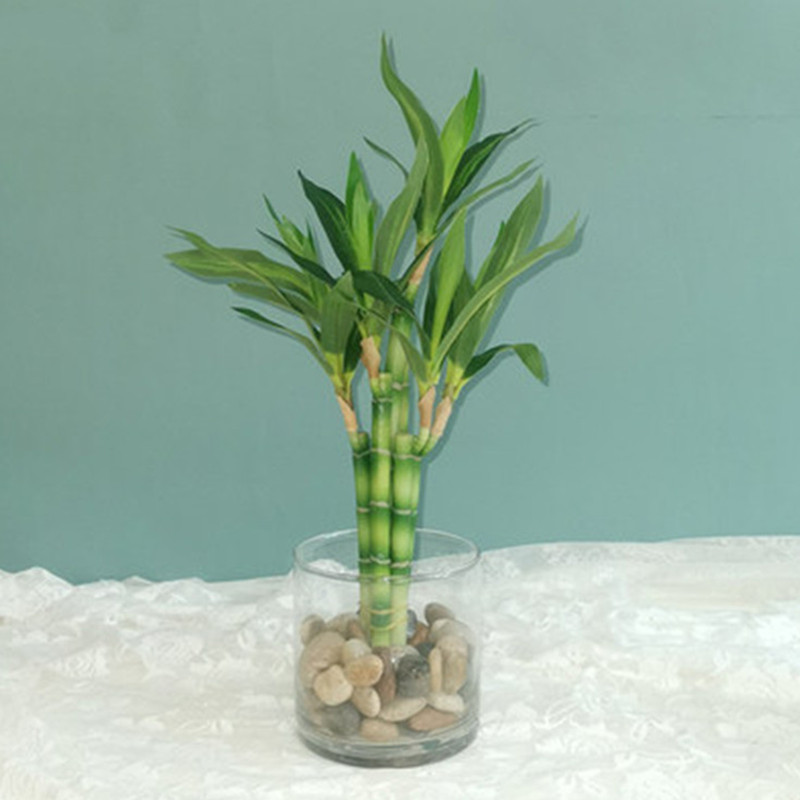 Desk Setup At Home - Nouvelle plante artificielle Bambou porte-bonheur de