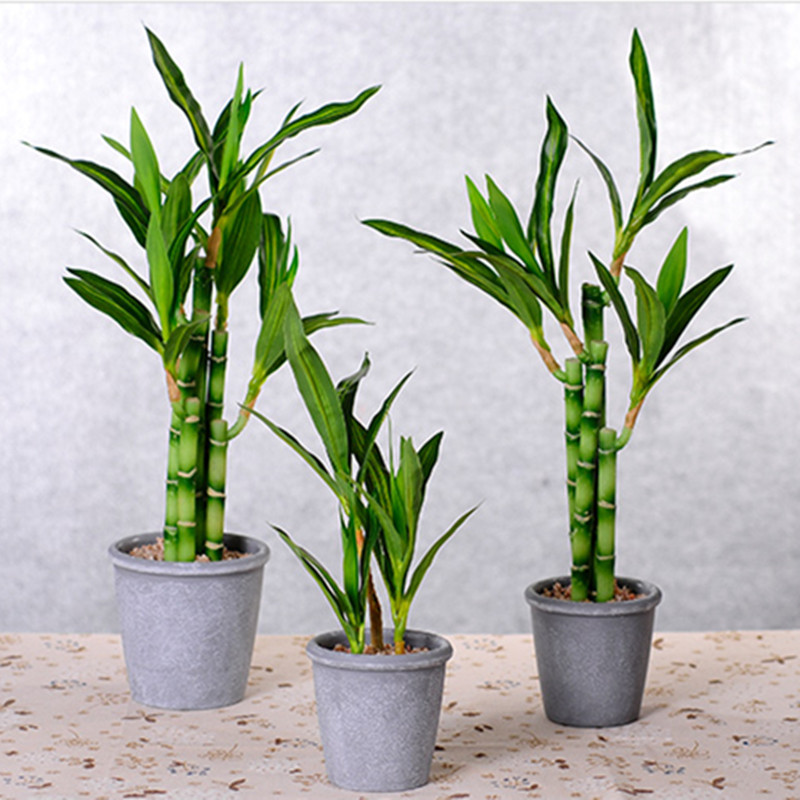 Nouvelle plante artificielle B - Desk Setup At Home avis et prix