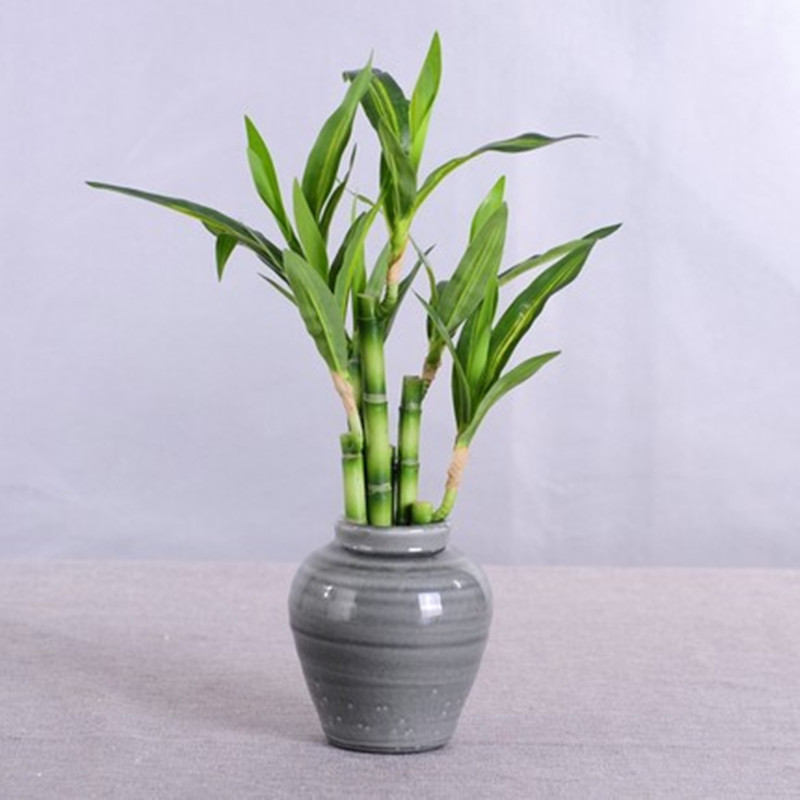 Nouvelle plante artificielle B - Desk Setup At Home avis et prix