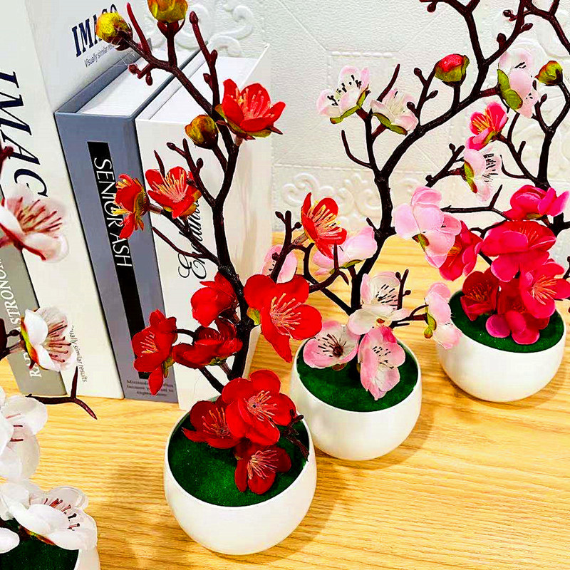 Simulation de Pot de fleur de  - Desk Setup Background avis et prix