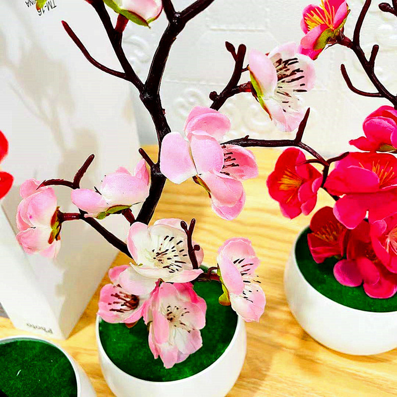 Simulation de Pot de fleur de  - Desk Setup Background avis et prix